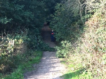 Chapel Loke at Lound Lakes - Andrew Hickinbotham 