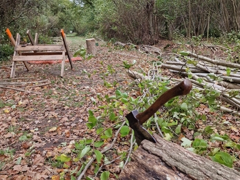 Coppicing work at Bradfield - Anneke Emery