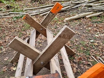 Coppicing work at Bradfield - Anneke Emery