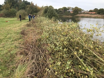 Volunteer work party at Lound Lakes - Andy Hickinbotham