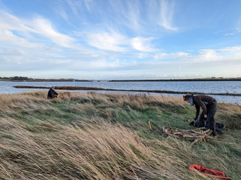Wardens Carl and Jessica helping to build spoonbill nests at Hazlewood Marshes – Ella Broom 