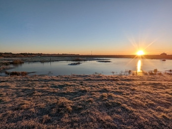 Hen Reedbeds – Jamie Smith 