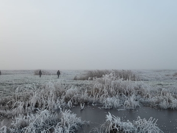 WeBS at Carlton Marshes – Gavin Durrant