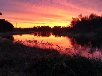 Lound Lakes – Roy Richardson 