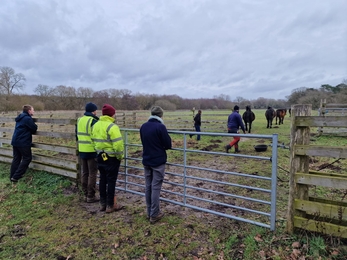 Herding ponies at Knettishall Heath - Anneke Emery 