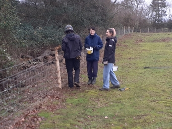 Fence repairs at Foxburrow - Joe Underwood 