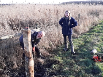 Fence repairs at Trimley - Joe Underwood 