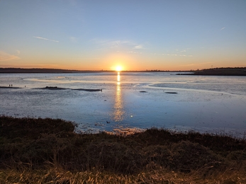 Hen Reedbeds sunset - Jamie Smith 