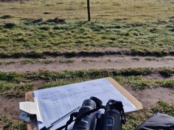 Skylark counts at Knettishall Heath, Anneke Emery 