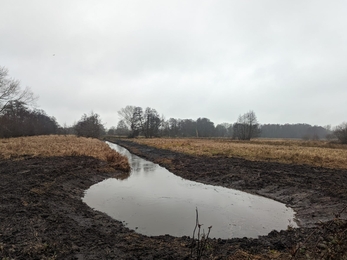 Dyke work at Darsham Marshes, Jamie Smith 