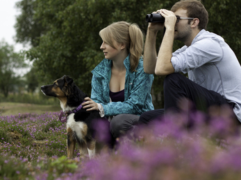 A young man and woman sit amongst flowering heather, with a dog on a lead sat beside them. The woman has her hands on the dog, whilst the man looks through a pair of binoculars.
