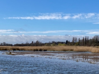 Carlton Marshes, Matt Gooch