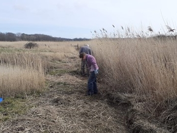 Judith and Phil, Trimley Marshes, Joe Underwood