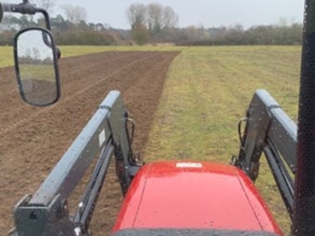 Breckland habitat maintenance, Lindsey Gray