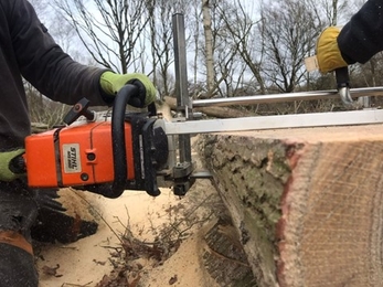 Milling at Bradfield Woods, Cormac Adlard