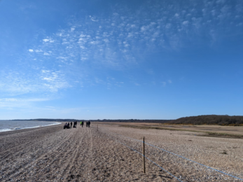 Rope fence at Dunwich, Jamie Smith 