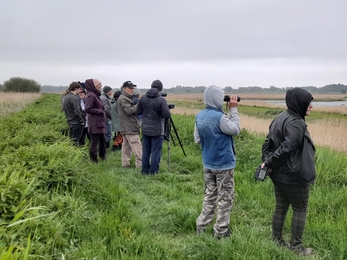 Evening chorus walk at Carlton Marshes – Gavin Durrant 