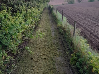 Lound Lakes footpath and survey transects cut to make walking easier, and keep people on the right track – Andy Hickinbotham 