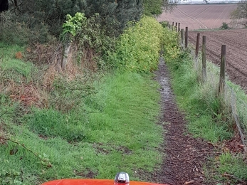 Lound Lakes footpath and survey transects cut to make walking easier, and keep people on the right track – Andy Hickinbotham 