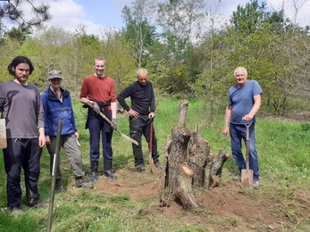 Trimley Marshes volunteers building a stag beetle pyramid - Joe Underwood 