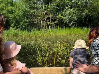 Wild tots pond dipping