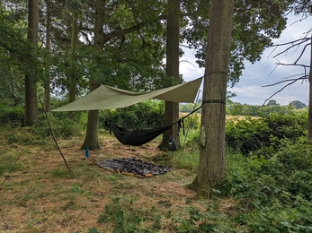 Hammock and Tarpaulin in the woods