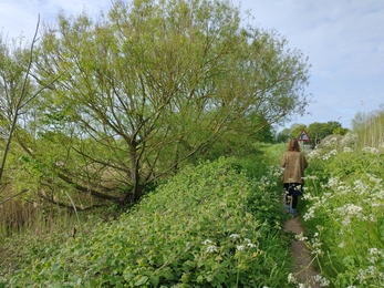 Ellen walking on a footpath at Hen Reed Beds