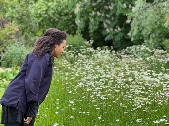 Jamey looking at the daisy in the office garden