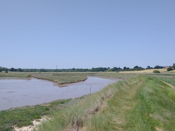 Path cutting at Hen Reedbeds – Dan Doughty 