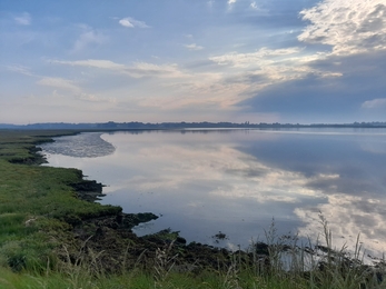 Trimley Marshes - Joe Underwood