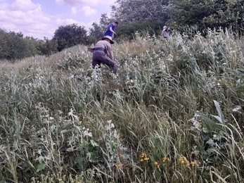 Volunteer work party at Trimley Marshes – Joe Underwood 