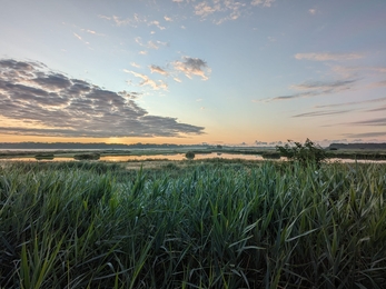 A view of Trimley Marshes Nature Reserve at sunrise