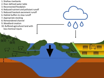 WaLOR river after landscape recovery