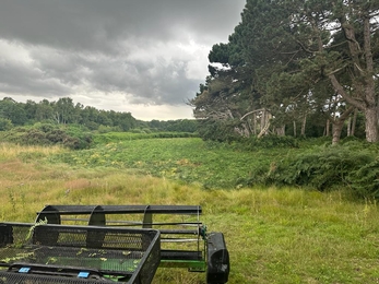 After bracken bruising at Lound Lakes – Andy Hickinbotham 