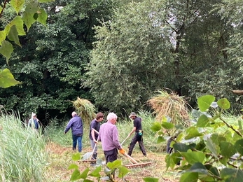 Volunteers at Carlton helping Wardens Gavin and Matt clear the next section of Sprat’s Water fen cuts this week - Matt Gooch 