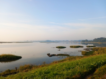 Martlesham Wilds nature reserve, River Deben, Suffolk