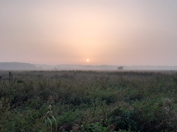 A hazy sunrise at Trimley Marshes in Suffolk