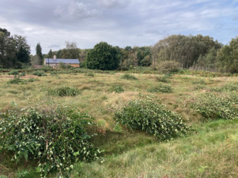 Heathland management work party at Blaxhall Common in Suffolk