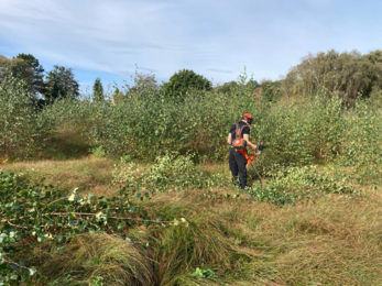 Heathland management work party at Blaxhall Common in Suffolk