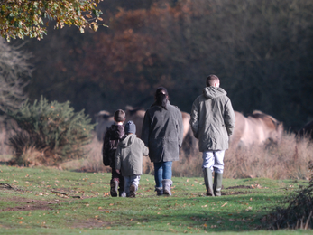 A family walking at Redgrave & Lopham Fen in Suffolk