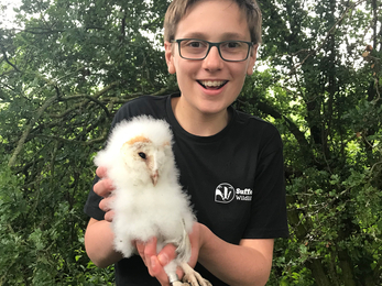 Youth Board member Henry, holding a barn owl chick