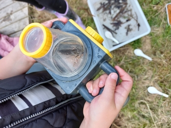 Children finding life in their school pond