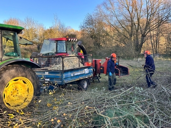 People moving piles of tree branches