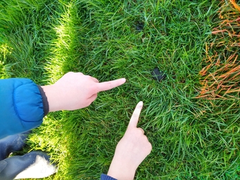 Signs of wildlife!