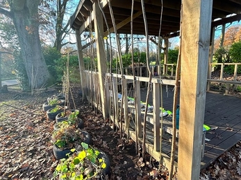 woodbridge outdoor classroom
