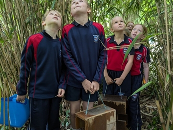 children in bamboo