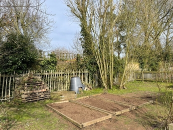 raised beds