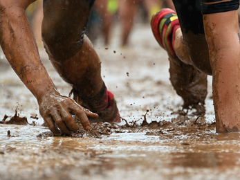 Whole Hog Mud Run