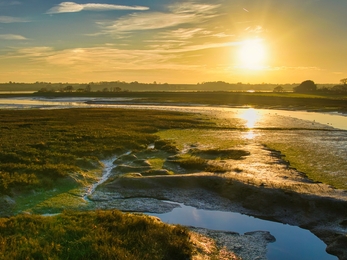 Sunrise over a wetland estuary with pools, mudflats and saltmarsh