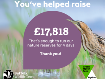 Graphic with amount raised in a pin shape next to a bittern